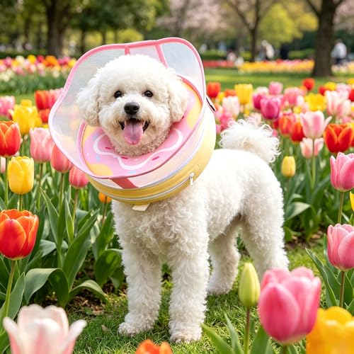 Inflatable Dog Cone Collar for Dogs to Stop Licking After Surgery (LightPink / XXL (Neck 19"-24"))