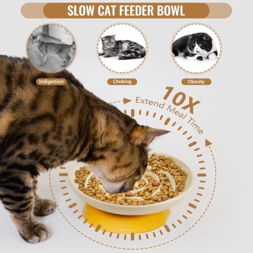 Shallow Elevated Cat Bowls with Bamboo Stand (white apricot)