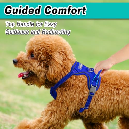 Dog Harness for Small Sized Dog No Pull Mesh 2 Clips Dog Vest (X-Small / Sapphire Blue-Mesh)