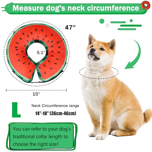 Recovery Donut Collar for Dogs & Cat (Watermelon / L（neck 14"-18"）)
