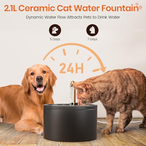 Ceramic Cat Water Fountain