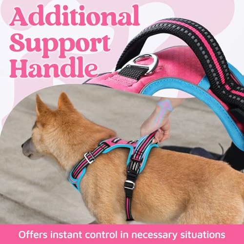 Dog Harness for Large (Pink & Blue / X-Large)