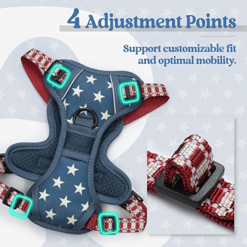 Dog Harness No Pull for Small Dogs with 2 Leash Clips (X-Small / Blue Star)