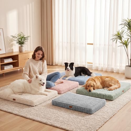 Orthopedic Dog Bed for XL Dog (Cream / 42"x30"x4")
