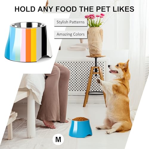 Dog Bowls Cone Friendly Non Slip Single Dog Bowl with Stainless Steel Inner (Medium(2 Cups) / Blue)