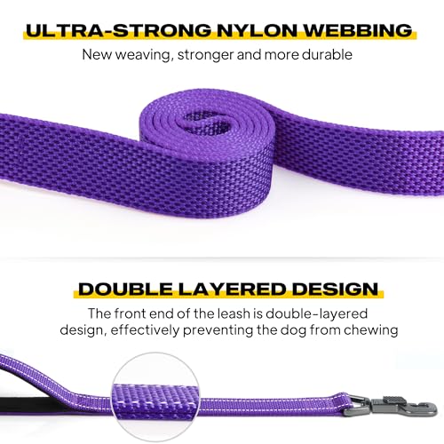 10 FT Heavy Duty Dog Leash (10 Feet (Pack of 1) / Purple)