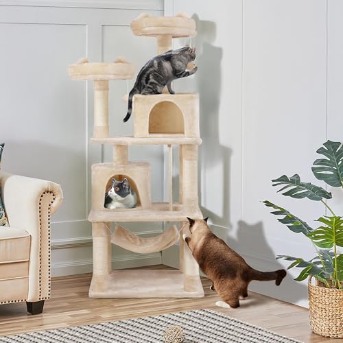 62.5in Cat Tree with 2 Cat (62.5in / Beige)