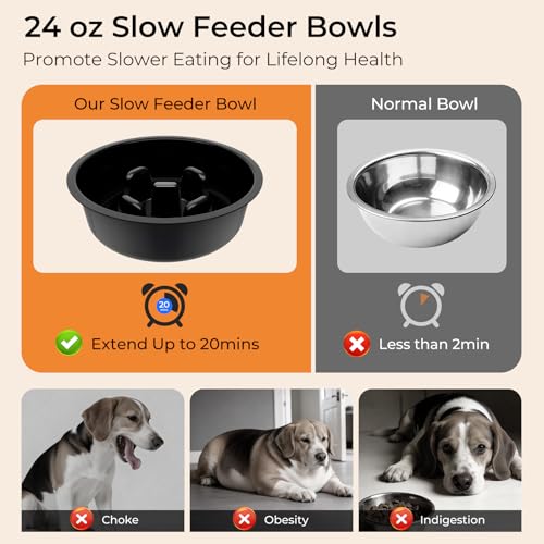 Elevated Dog Bowls for Small Dogs (Black / Small)