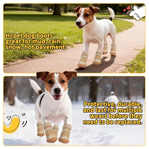 Dog Shoes for Small Dogs (Brown / #2 (Width 1.29 inch) for 6.6-11.0 lbs)