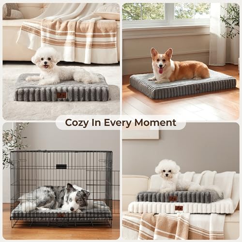 Orthopedic Large Dog Bed (Grey / XL(41x27x4"))