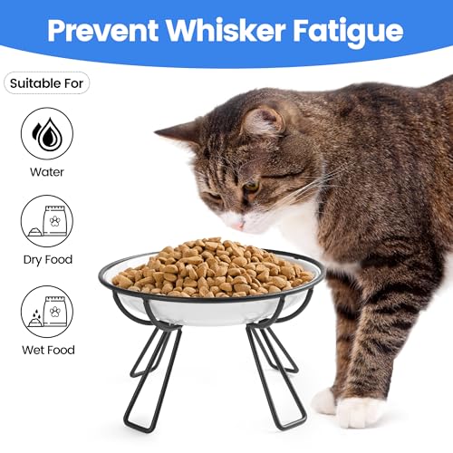 Ceramic Elevated Cat Bowls (raised dish,2 pack / line cat)