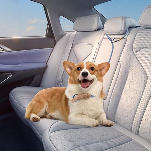 Hands Free Dog Leash (Blue White / 8FT Hands Free)