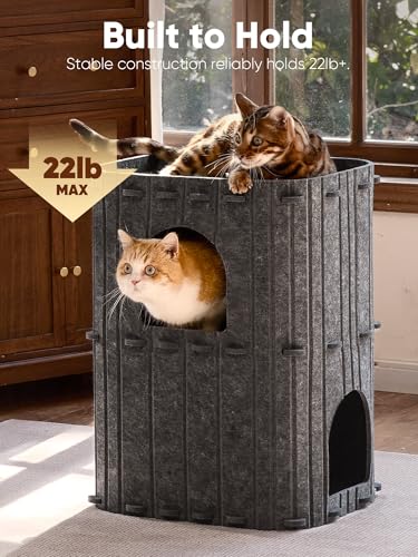 Cat House for Indoor Cats
