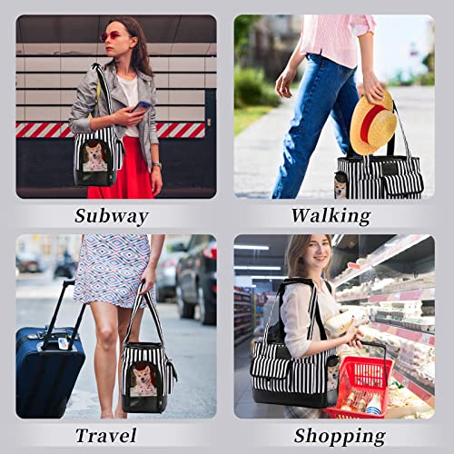 Cat Carrier Dog Carrier (Black White Stripes New)