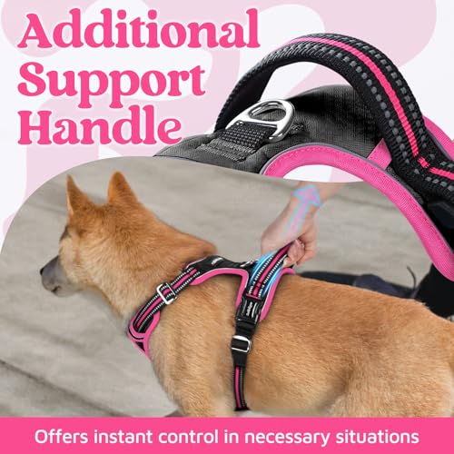 Dog Harness for Large (Black & Pink / Large)