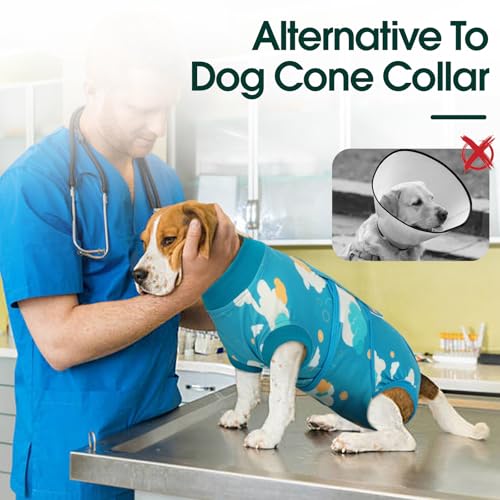 Dog Recovery Suit (Cloud Blue / XX-Large)