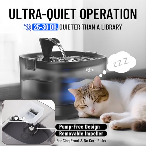 85oz 2.5L Cat Water Fountain with Detachable Tank & Secure Clips (Black)