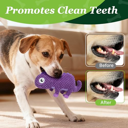 5 Pack Plush Crinkle Squeaky Dog Toys for Small Medium Large Dog