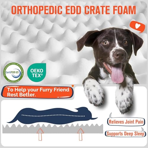 Orthopedic Dog Bed for Large Dogs with Removable Cover
