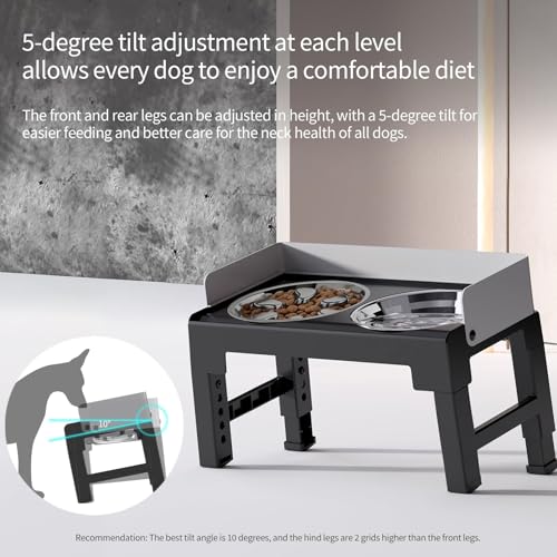 Elevated Dog Bowls with Stainless Steel Slow Feeder Bowl for Medium and Large Dogs (1 Stainless Slow Feeder & 1 Stainless Bowl / Grey)