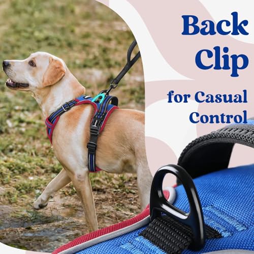Dog Harness Medium Sized (Medium / Blue & Red)