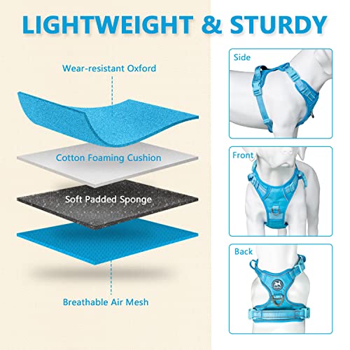 No Pull Dog Harness (S / Blue(Matching Trim))