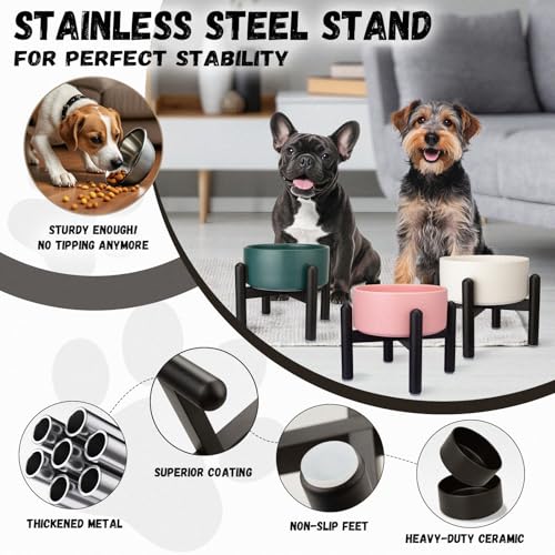 Raised Ceramic Dog Bowl Set with Stand (White / 1 Bowl - 3.5 Cups)