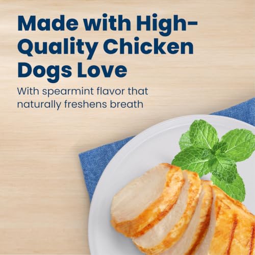 Chicken & Spearmint Large Dental Chews (33 Ounce (Pack of 1))
