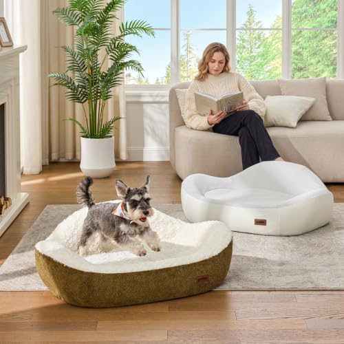 45D Orthopedic Memory Foam Dog Bed Sofa with 2 Washable Cover Green (Green+Beige)