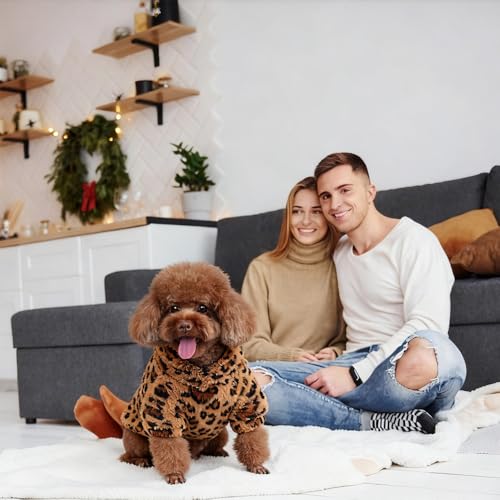 Leopard Print Dog Sweater (Coffee Brown / Small)
