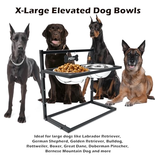 Elevated Dog Feeder for Large Breeds (x-large dogs)