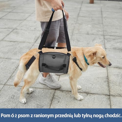 Dog Carry Sling (31.5"L x 13.8"W x 1.0"H / Black)