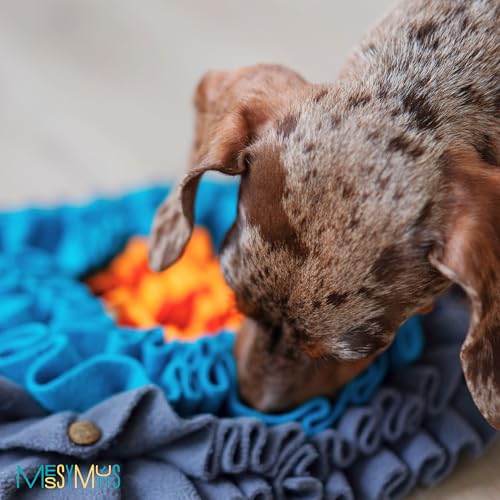 Square Snuffle Mat for Dogs