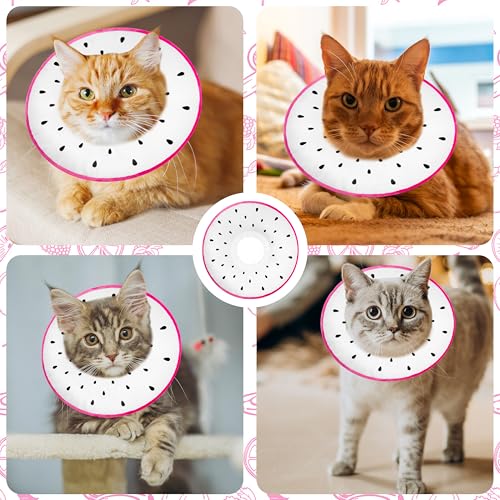 Cat Cone Collar Soft (Dragonfruit / Large)