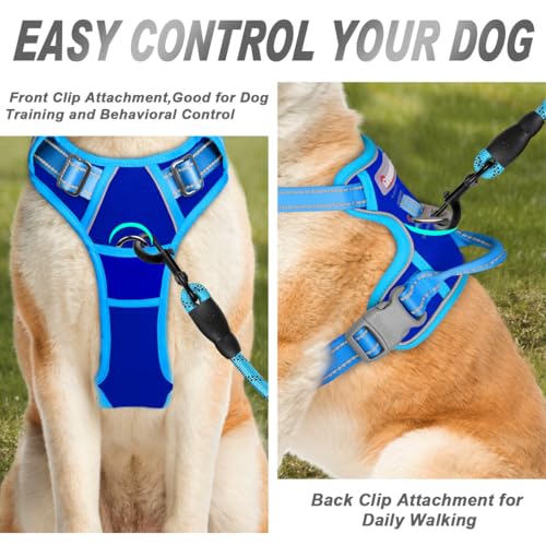 Dog Harness No Pull for Large Dogs Front Back Clips (Large(Chest:24.5-32.5") / Sapphire Blue & Blue)