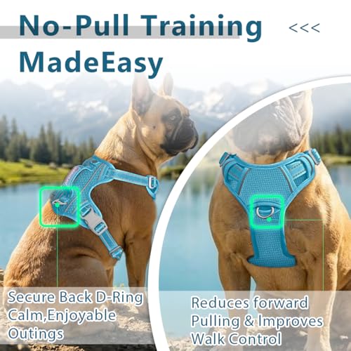 No Pull Dog Harness for Medium Sized Dogs (Medium(Chest:22.5-28") / Ocean Blue)