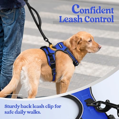 Dog Harness No Pull for Large Dogs with 2 Leash Clips (X-Large / Dazzling Blue)