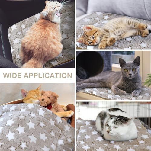 4 Pcs Dog Crate Pads Soft Warm (Rectangular 20 x 30 x 1.6 Inch / Star / Apricot)