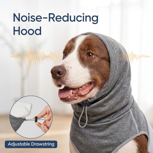 Dog Thunder Vest (Black / S)
