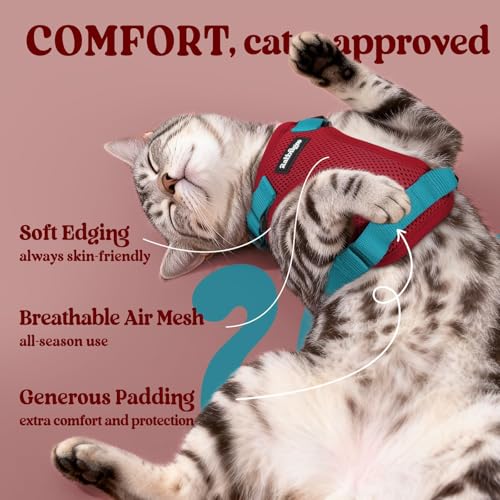 Cat Harness and Leash Set (M / Red & Teal)