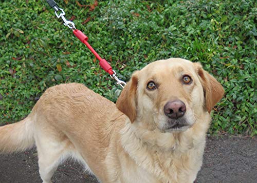 BUNGEE DOG LEASH EXTENSION (Small (up to 20 pounds) / Red)