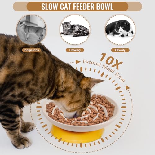 Elevated Slow Feeder Cat Bowls (apricot)