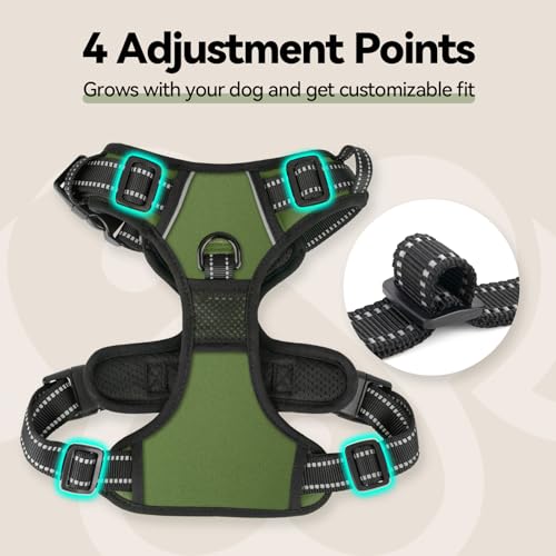 No Pull Dog Harness with Handle Front & Back Clip (Extra Small / Misty Green)