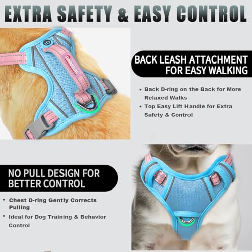 Dog Harness for Small Sized Dog No Pull Dog Vest ID Tag Pocket (Baby Blue & Baby Pink / Small)