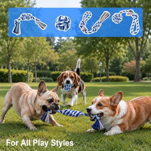 Dog Rope Toys for Small Dogs & Puppies (Blue / Small)