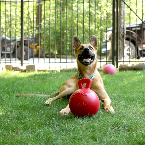Tug-n-Toss Heavy Duty Dog Toy Ball with Handle, 8 Inches/Large, Red (408 RD) (Red / Large (8 in))