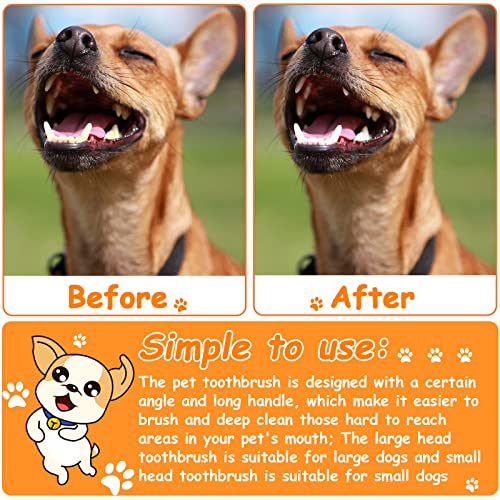 70 Pcs Dog Tooth Brush Dual Headed Pet Toothbrush (Colorful)
