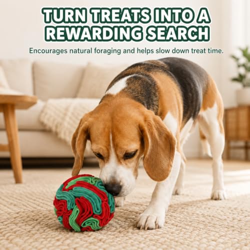 Snuffle Ball for Dogs (Red & Green / Medium)