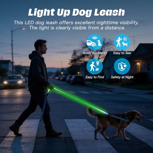 Light Up Dog Leash (Blue / 6FT)