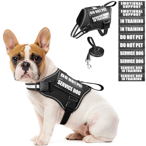 Service Dog Vest Harness and Leash Set+10 Patches (Small / Black)